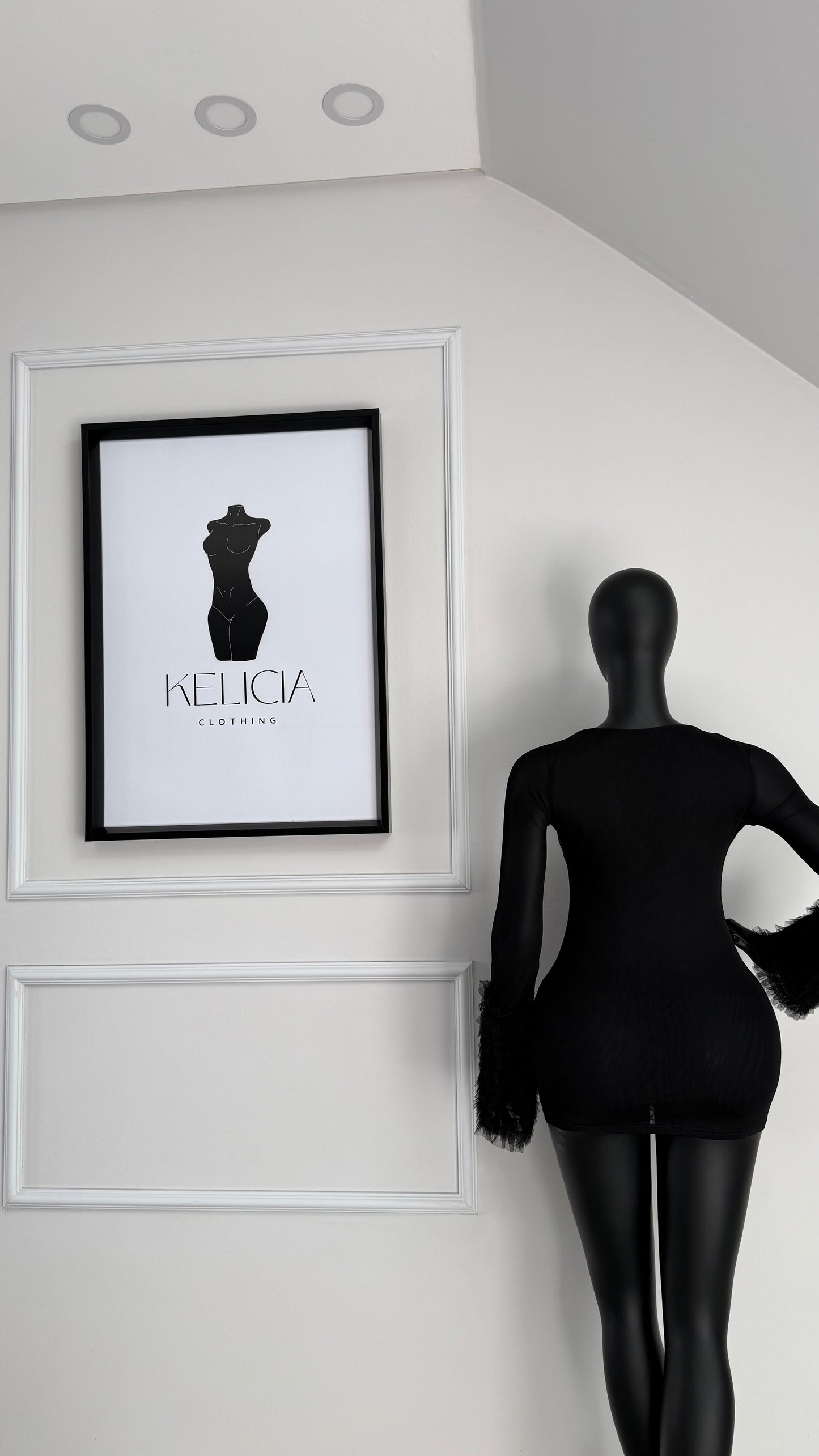 Mesh Long Sleeve Mini Dress in Black