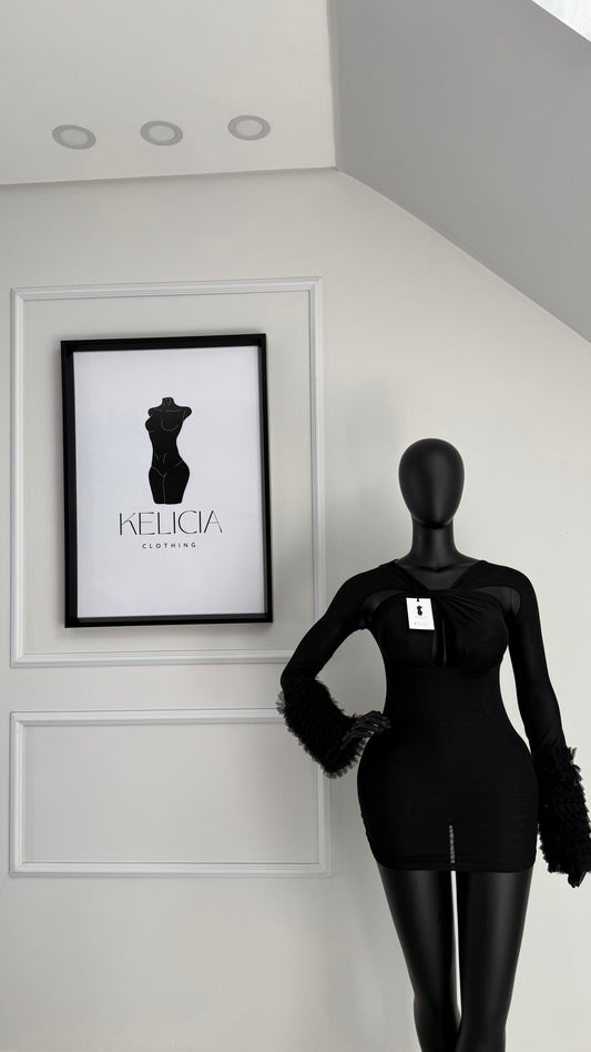 Mesh Long Sleeve Mini Dress in Black